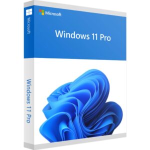 Système d’exploitation Windows